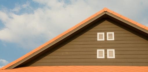 home-mold-roof.jpg